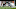 NY Jets, Bryce Hall NY Jets, Bryce Hall